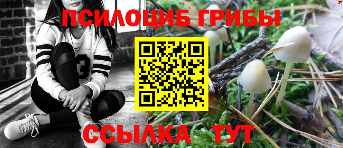 Галлюциногенные грибы Cubensis  Вход с VPN  Корсаков 